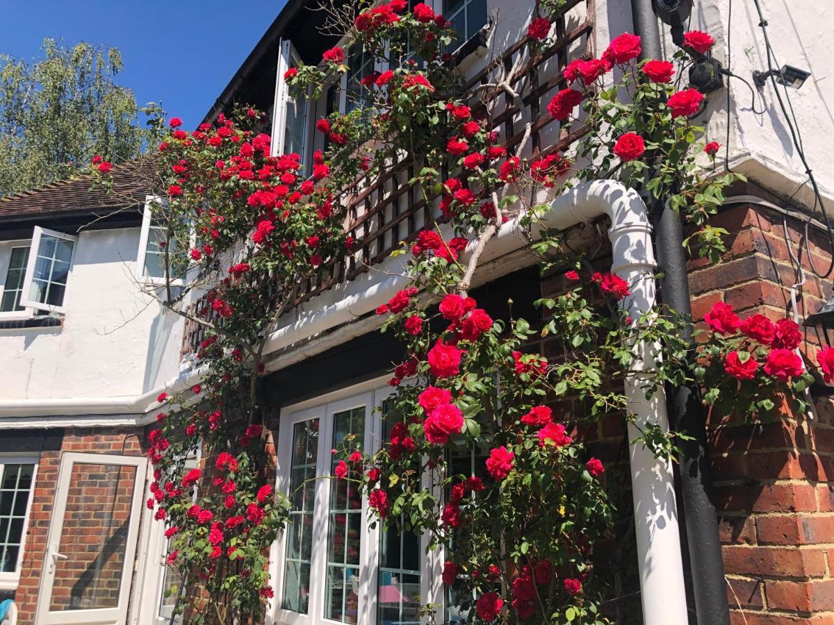 Hostal Hazelwick Hookwood Exterior foto