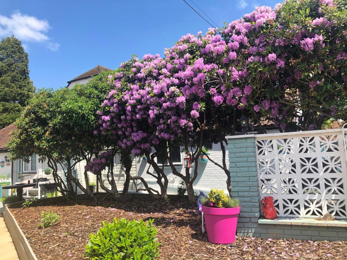 Hostal Hazelwick Hookwood Exterior foto